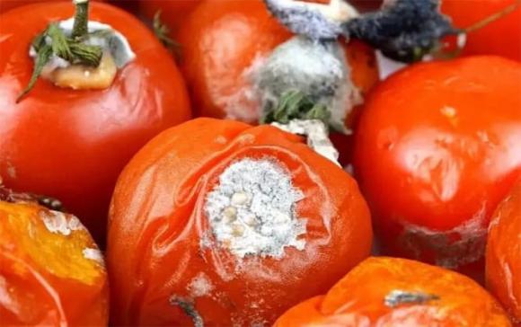 Có thể dùng để làm sạch đồ dùng bằng kim loại    
