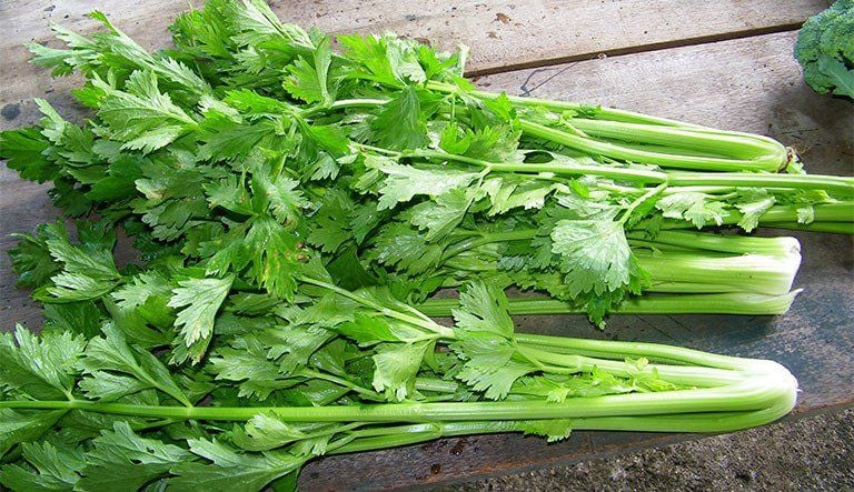 Bạn có thể ép cần tây lấy nước uống hoặc nấu chín cùng các Shbet0099 cá cược trực tuyến.