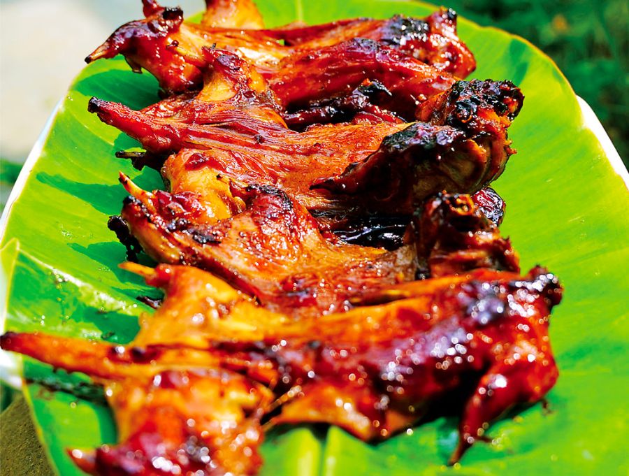 Hiện nay, nhiều người dân Bến Tre đã tìm ra cách bắt chuột dừa, vừa để bảo vệ vườn dừa vừa tăng thêm thu nhập