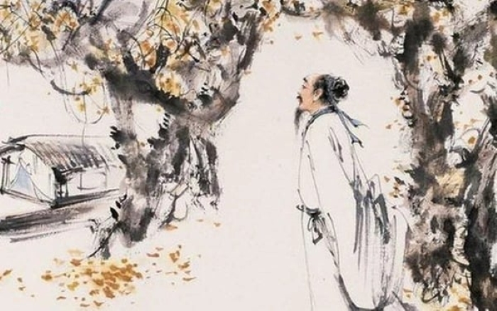  Nếu rắn rơi xuống trước mặt người đàn ông, thì có thể người đàn ông đó sẽ gặp vận xui. (Ảnh minh họa)
