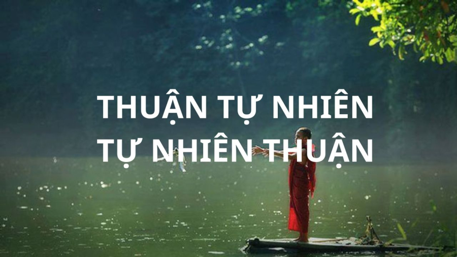 Thuận theo tự nhiên cuộc đời sẽ an vui