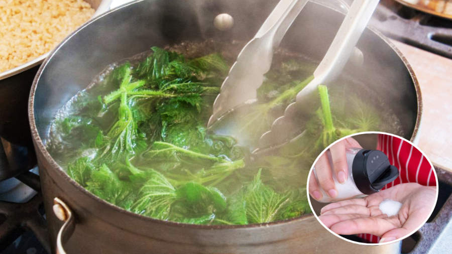 Cho muối vào nồi nước trước khi luộc rau sẽ giúp rau giữ được màu xanh đẹp mắt.