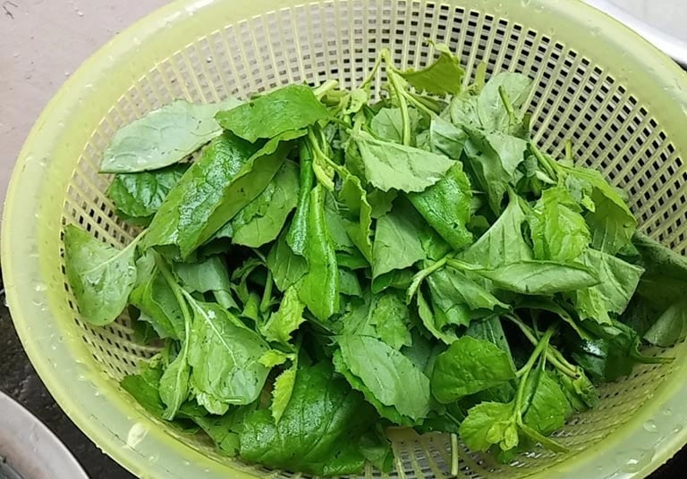 Người dân thường kết hợp cải trời với mắm sống, mắm kho, hoặc dùng để chấm với cá và thịt kho, tạo ra một hương vị tuyệt vời