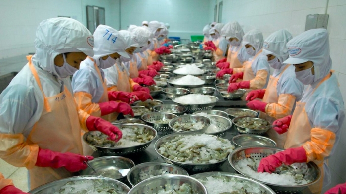 Tôm là mặt hàng xuất khẩu quan trọng của Việt Nam