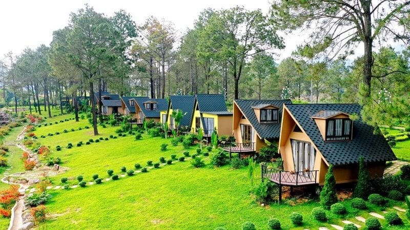 Rừng thông Bản Áng giống như Đà Lạt thu nhỏ