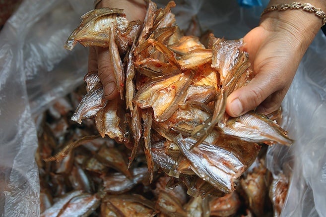 Loại cá ngày xưa không ai thèm bắt, nay thành đặc sản bán 300.000 đồng/kg