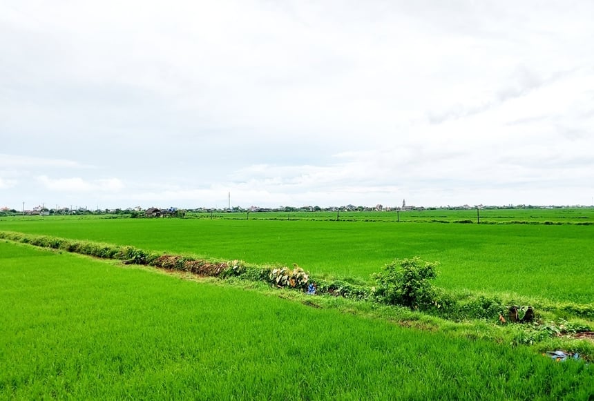 Một số trường hợp khác bị thu hồi đất vi phạm