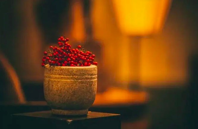 Mỗi người sẽ có chính kiến, quan điểm riêng, chúng ta đừng ép người khác chấp nhận ý kiến của mình. (ảnh minh họa)