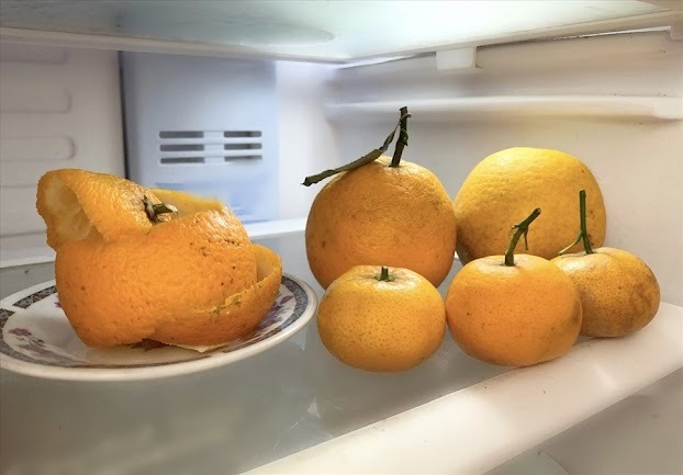 Đặt vỏ bưởi vào góc tủ lạnh, sau 2-3 ngày bạn sẽ thấy mùi hôi đã được giảm đáng kể. 