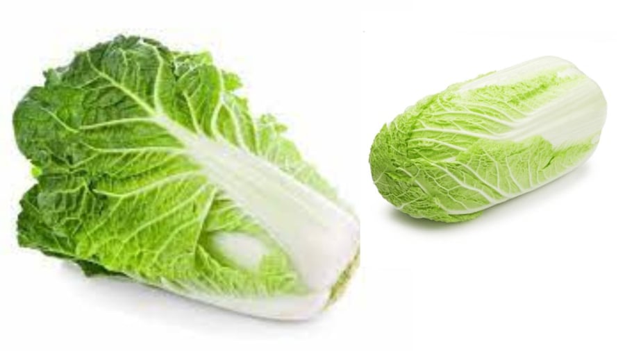 Cải thảo rất phổ biến