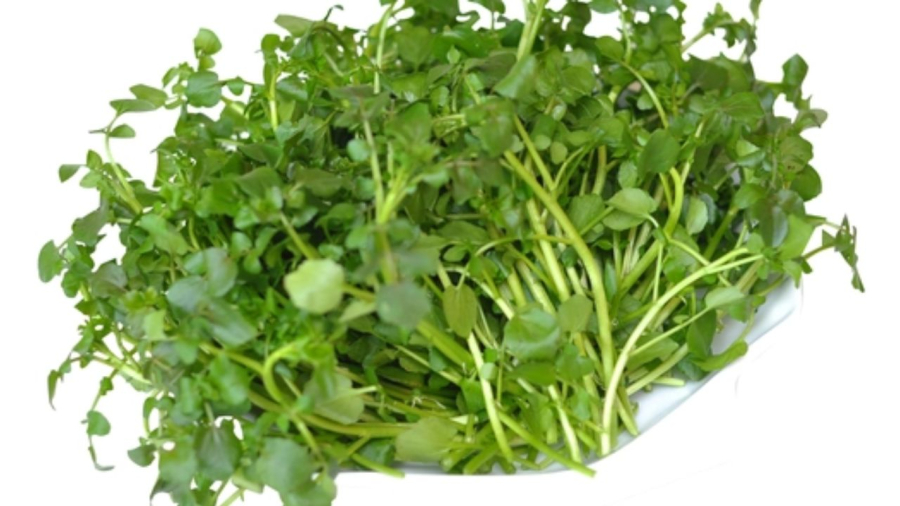 Cải xoong đứng đầu họ cải về chất lượng dinh dưỡng