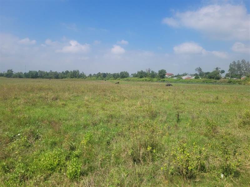 Trong trường hợp người sử dụng đất nông nghiệp không sử dụng đất liên tục trong khoảng thời gian sẽ bị thu hồi.