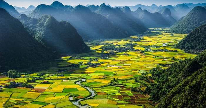 Cánh đồng lúa đẹp mê mẩn và thanh bình. 