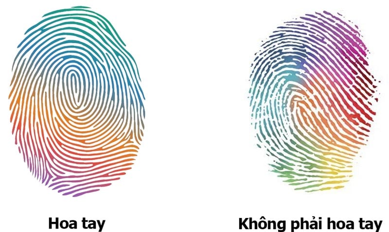 Cùng xem hoa tay đoán vận giàu - nghèo của bạn nhé