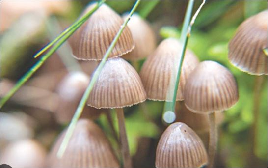 Hãy chọn buông bỏ quyền lực đúng lúc và tập trung vào sức khỏe thể chất, tinh thần của bản thân mình. (ảnh minh họa)