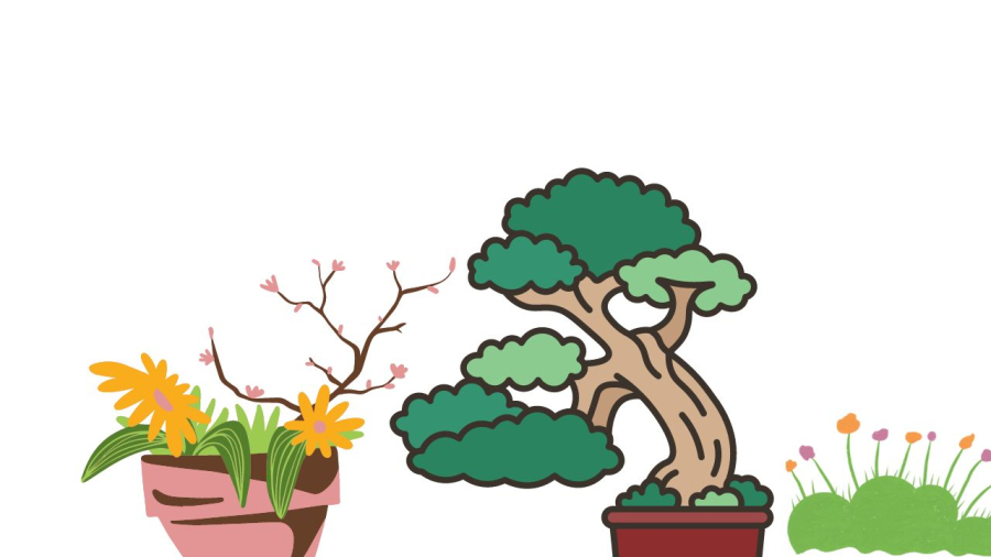 Cây xanh trước nhà đừng tự ý chặt