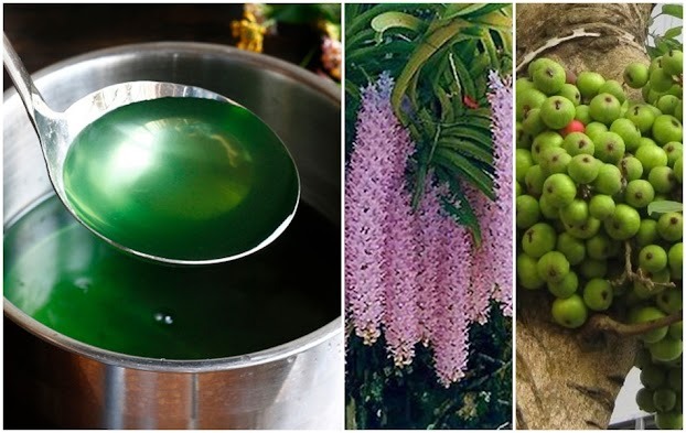 Nước từ việc luộc rau chứa nhiều dưỡng chất có lợi cho cây, vì vậy bạn có thể dùng nó để tưới cây sau khi đã nấu xong.