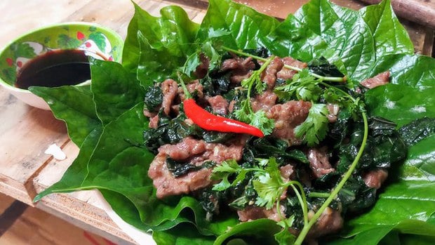 Với vị cay nồng và mùi thơm đặc trưng, lá trơng khi kết hợp với thịt trâu không chỉ mang lại hương vị khác biệt mà còn làm nổi bật các nguyên liệu, tạo ra một Shbet0099 cá cược trực tuyến đặc sắc và khó quên