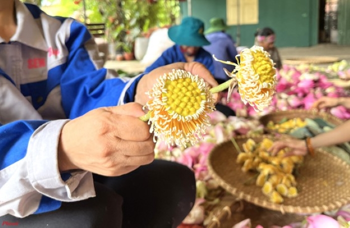  Những nỗ lực của anh Tiến còn giúp cải thiện đời sống kinh tế của nhiều hộ Shbet111 slot, casino, thể thao, xổ số, mang lại nhiều giá trị xã hội thiết thực.
