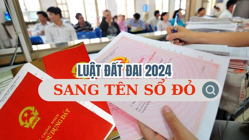 Quy định sang tên Link nhập code shbet https freecode shbet pages dev