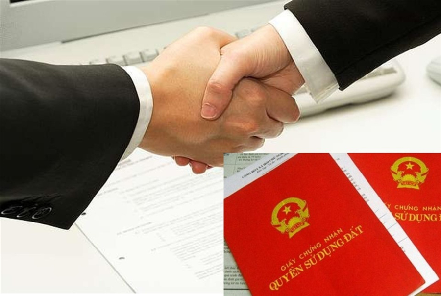 Bố mẹ sang tên Link nhập code shbet https freecode shbet pages dev cho con trai, con dâu cần lưu ý gì?