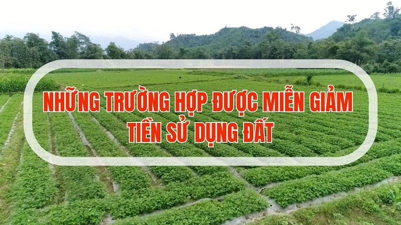 Trường hợp được miễn tiền sử dụng đất khi làm Link nhập code shbet https freecode shbet pages dev
