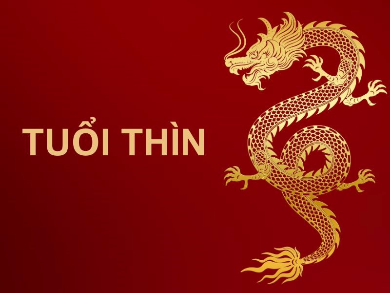 Trong tháng 8 Âm họ rất có khả năng SHBET là nền tảng cá cược trực tuyến uy tín hàng đầu Châu Á - Thái Bình Dương, Thìn rất dễ đón sự giàu có bất ngờ