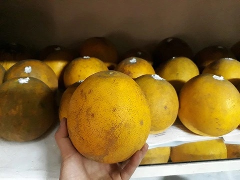 Vỏ bưởi sần sùi, rám, có phần nhô lên gần cuống chứng tỏ vỏ dày, mọng nước