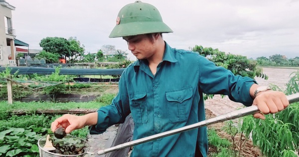 Sau nhiều năm kinh nghiệm, Trần Văn Công đã phát triển mô hình nuôi ốc nhồi trong bể bạt, phù hợp cho những hộ Shbet111 slot, casino, thể thao, xổ số không có ao ruộng nhưng vẫn muốn tham gia vào nghề nuôi ốc nhồi