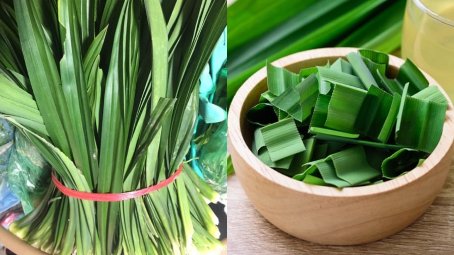 Lá dứa (lá nếp) được sử dụng nhiều để tạo màu, tạo mùi hương cho các Shbet0099 cá cược trực tuyến.