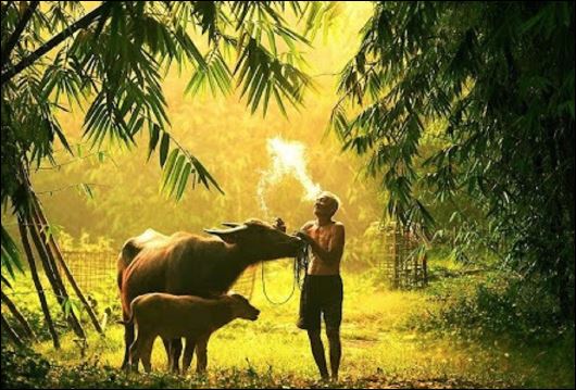 Một mạng lưới quan hệ mạnh mẽ có vai trò cực kỳ quan trọng trong cả Shbet16 chơi game trực tuyến cá nhân cũng như Shbet800 khuyến mãi siêu lớn của bạn.  (ảnh minh họa)