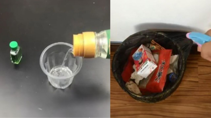 Dầu gió trộn giấm trắng khử hôi và đuổi ruồi muỗi