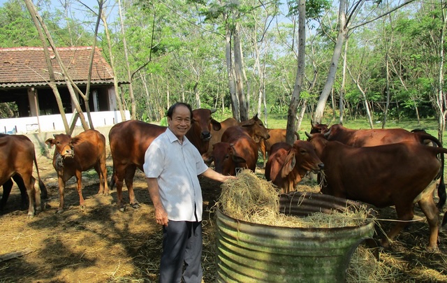 Khi bắt đầu sự nghiệp, nông dân Nguyễn Đức Sơn chỉ có một số vốn nhỏ, và để khởi động mô hình của mình, ông đã vay thêm 100 triệu đồng từ Quỹ hỗ trợ nông dân Trung ương