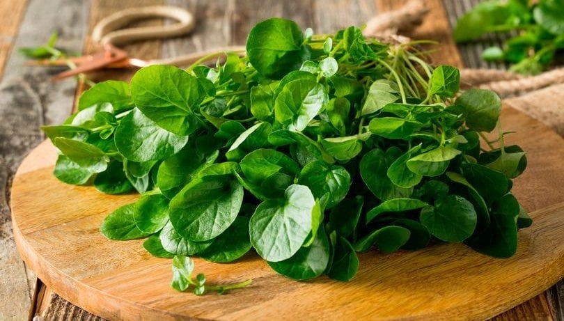 Loại rau có canxi gấp 10 lần canh xương
