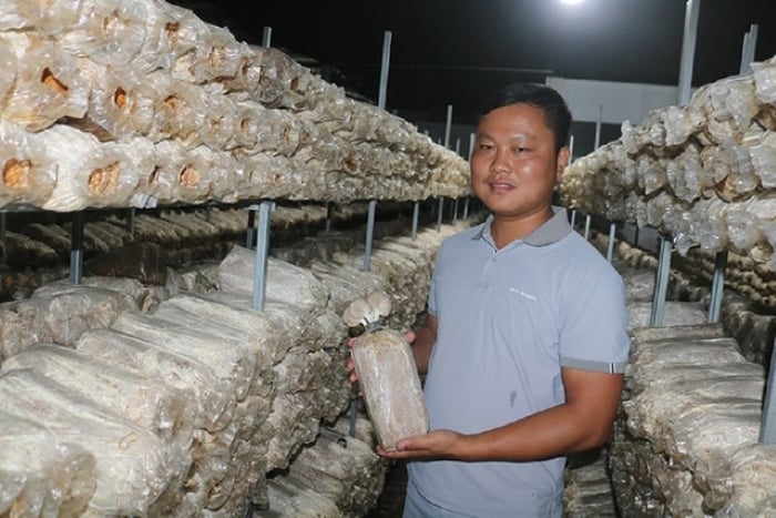 Mặc dù sinh ra ở Thái Bình nhưng anh Nguyễn Thanh Long lại vào miền Tây Shbet0099 cá cược World Cup 2026, nào ngờ nhẹ nhàng có doanh thu khoảng 5 tỷ đồng. (Ảnh: Báo Thanh Niên)