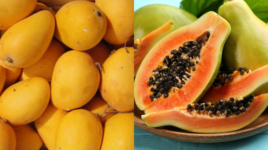 Ngoài các lựa chọn trên, bạn có thể chọn quả xoài hoặc quả đu đủ làm trái cây dâng cúng thần linh, Link nhập code shbet https freecode shbet pages dev trong dịp Rằm tháng 8.