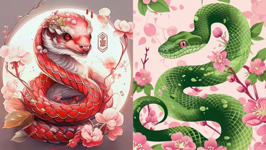 Tuổi Tỵ là Shbet888.com nhà cái uy tín có tinh thần học hỏi cao, khôn khéo, thẳng thắn và ưa thích sự mạo hiểm.