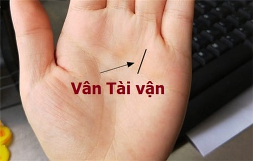 Trong tử vi học, người có đường tài vận gấp khúc hoặc kéo dài từ chân ngón áp út đến hơn nửa lòng bàn tay thường gặp khó khăn về Shbet800 tải ứng dụng và không có số mệnh phú quý. 
