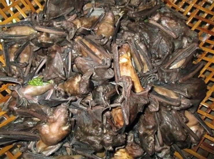 Nhiều người có thể sẽ ngạc nhiên khi biết rằng tại Đồng Nai, dơi không chỉ đơn thuần là loài vật hoang dã mà còn trở thành Shbet0099 cá cược trực tuyến đặc sản