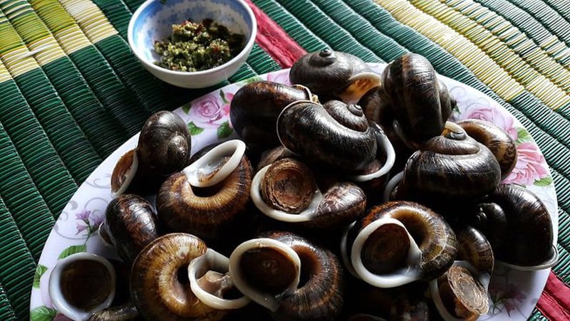 Ốc đá suối Bàng là loại ốc đặc trưng của khu vực suối Bàng, Mộc Châu, và chúng thường xuất hiện từ tháng 4 đến cuối tháng 8 hàng năm