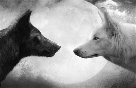 Nếu tranh cãi với họ thì chính bạn đã thua ngay từ đầu. Họ chẳng còn gì để mất, nhưng bạn còn có cả Shbet16 chơi game trực tuyến phía trước. (ảnh minh họa)
