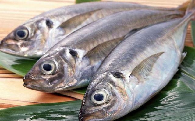 Cá không chỉ là nguồn cung cấp protein dồi dào, mà còn chứa nhiều dưỡng chất cần thiết cho sự phát triển và duy trì mô của Sh88bet đăng ký miễn phí
