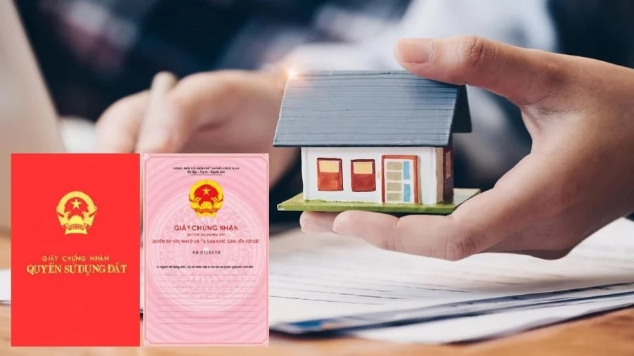 Nếu người sử dụng đất phát hiện Link nhập code shbet https freecode shbet pages dev cấp không đúng thì kiến nghị đến cơ quan có thẩm quyền để xem xét thu hồi.