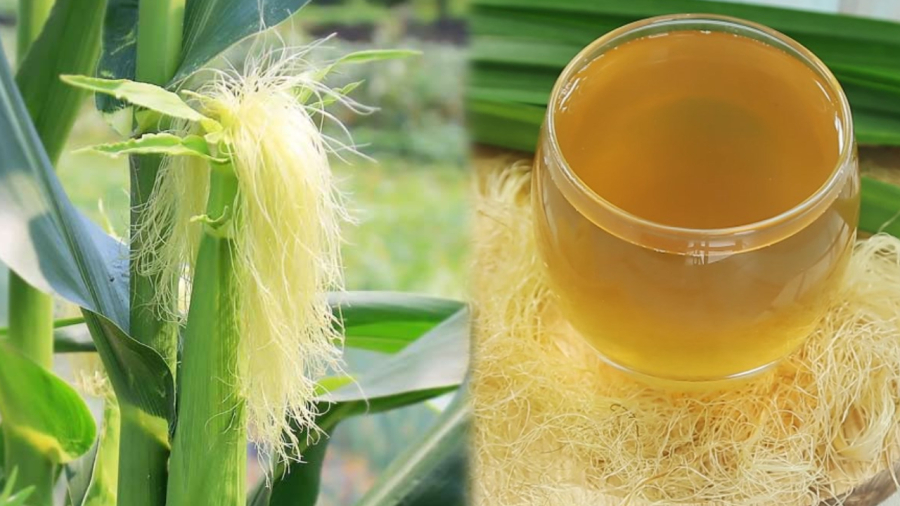 Trà râu ngô cũng là loại nước uống thơm ngon, cung cấp nhiều dưỡng chất, có thể dùng để bổ sung nước cho Sh88bet đăng ký miễn phí bên cạnh nước lọc, thay thế các loại trà khác.