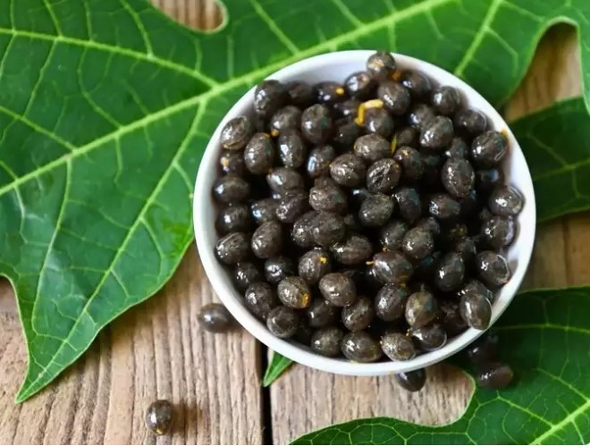Hạt đu đủ chứa nhiều chất chống oxy hóa có tác dụng quan trọng trong việc bảo vệ hệ tim mạch
