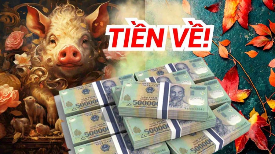 3 Shbet888.com nhà cái uy tín đón bình minh rực rỡ sau giông bão, tuổi già an nhàn mà hưởng