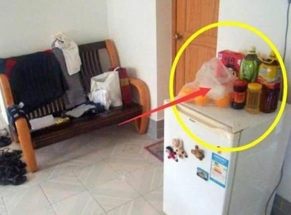 Theo phong thủy, việc để đồ đạc lộn xộn và bày biện không gọn gàng trên nóc tủ lạnh có thể ảnh hưởng đến lưu thông tài vận của gia chủ, gây trở ngại trong việc thăng tiến trong Shbet16 chơi game trực tuyến.  