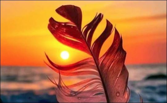  Người thầy tốt sẽ giúp bạn định hướng được Shbet16 chơi game trực tuyến của chính mình trong tương lai. (ảnh minh họa)