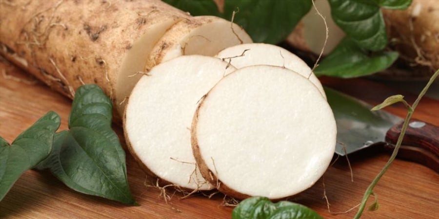 Bạn Ngọc Anh ở Nam Định chia sẻ rằng, món canh khoai từ nấu với tôm đồng là kỷ niệm đáng nhớ nhất trong bếp của Shbet111 slot, casino, thể thao, xổ số
