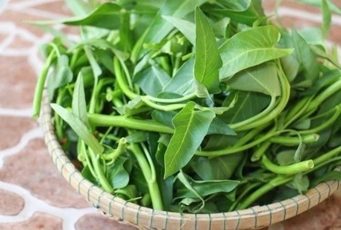 Rau muống có thể được chế biến thành nhiều Shbet0099 cá cược trực tuyến hấp dẫn như ăn sống, làm nộm, muối chua, xào, luộc hoặc nấu canh, và mỗi cách chế biến đều mang đến những hương vị đặc trưng riêng